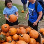 Gotta pick the right pumpkin